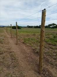 Electric Fence for Farms in Kenya